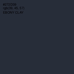 #272D39 - Ebony Clay Color Image